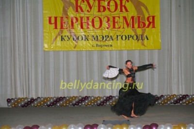 Межрегиональный фестиваль-конкурс Кубок Черноземья 2011