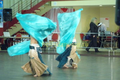 Фестиваль Северная пальмира_1