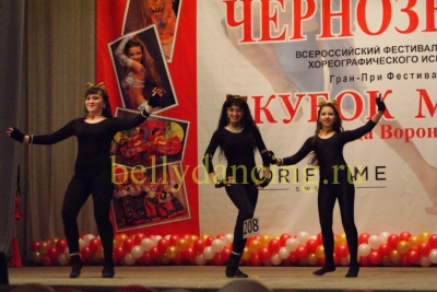 Фестиваль Кубок Черноземья_1